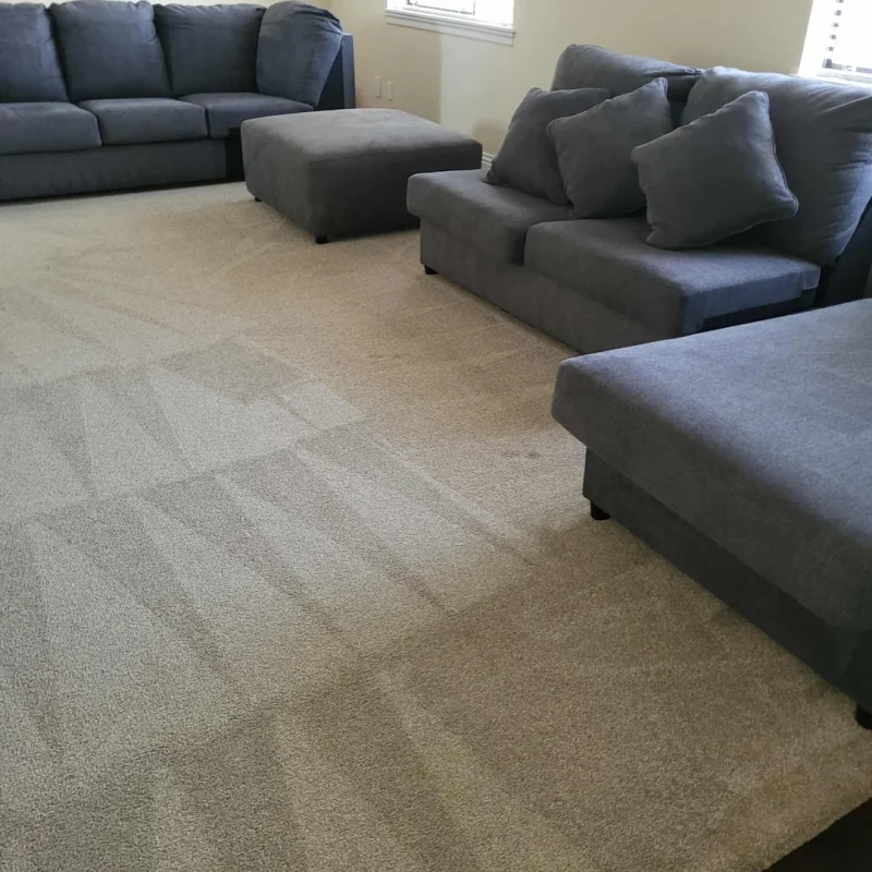 Carpet - 8